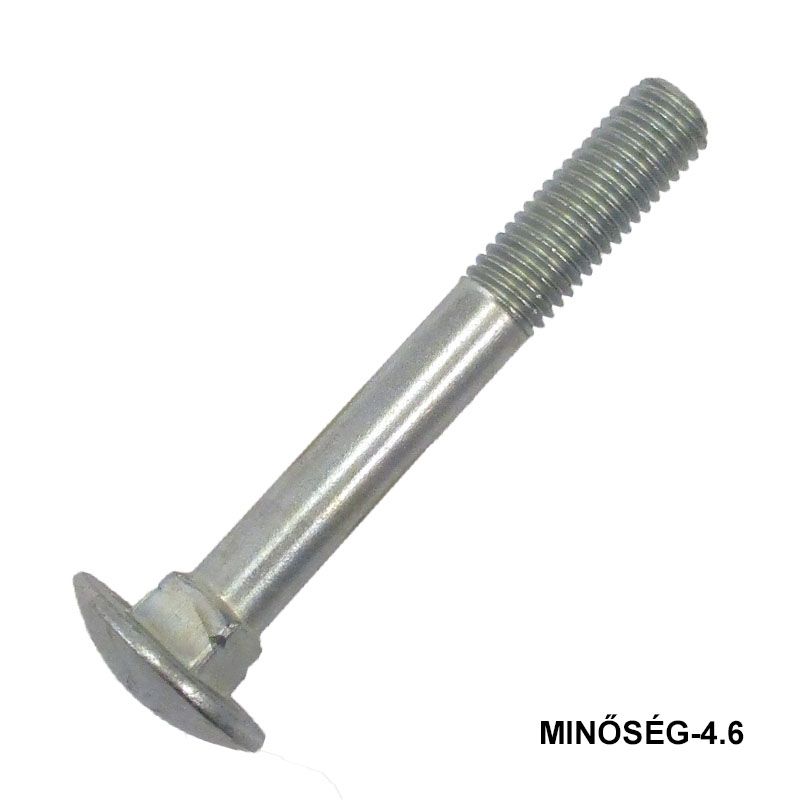 KAPUPÁNTCSAVAR M6*60 DIN 603 4.6 HG.  METRIKUS CSAVAROK
